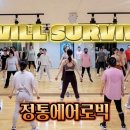디앤디댄스