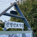 제주도 맛집 | 전복뚝배기 전복해물전골 서귀포 “산방산초가집“ 내돈내산 후기