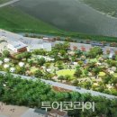 맹방 비치캠핑장 이미지