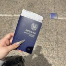 로맨스 다육 | 상하이로맨스?