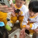 바다어린이집 이미지