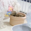마이페츠룸 네이버블로그