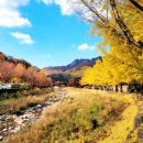 문경새재 도립공원 이미지