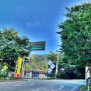 국립유명산자연휴양림 이미지