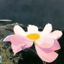 아크릴화 이미지