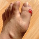 체리콕콕 | 달리는 체리; 5주 플랜 러닝 보고서 - 하프마라톤 후기 (완)