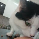 지에스(GS)25 봉천동신점 | [일상 이야기] 내 님은 어디에 있나요? 망원 신점으로 유명한 라휘 신점 후기!!