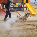 금성초등학교 병설유치원 이미지