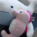 소풍가자 | [공유] 고래야! 해마야! 소풍가자~ 펀딩 후기