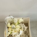 더프스튜디오 네이버블로그