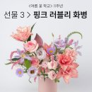 신구로현대(아) | 꾸까 여름 꽃 학교 2가 열렸어요!!!(8월 수강가능)