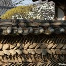 담