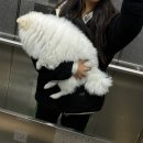 영그린유치원 | [NOV] 왜 벌써 기말고사