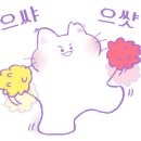 서울고양이분양 묘연 이미지