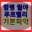 월야가스 이미지