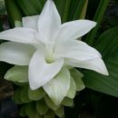 글쓰기와 역사 : 글은 어디서+ 어떻게 태어나는가 | 글쓰기의 쓸모(손현), 글쓰기가 있는 인생은 꾸준히 성장한다 &amp; 글쓰기는 가장 우아한 소유!