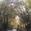 장수공원 이미지