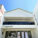 하단동234 | [부산/부산카페/하단동카페] 컵넛 하단점 #내돈내산 #도넛맛집 #로투스맛후기