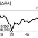 "올 이익 3배 증가"…아이에스동서 주가 급등 이미지