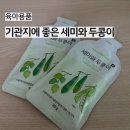 육아템 추천 | 기관지에 좋은 세미와 두콩이 재구매 후기