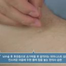 마음손한방병원 이미지