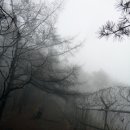 명학초등학교 이미지