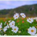 도담정원 이미지