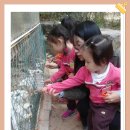 장석목장 이미지