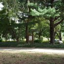 과일바빠 이미지