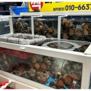 북항선착장 | [목포횟집 선희네 횟집 방문후기] 북항선착장 근처 맛집, 신선도 최고! 친구들과 힐링한 목포 여행 한 끼