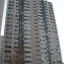 분당-133 이미지