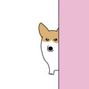 (주)페슬러 네이버블로그