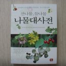 정구영농장 Daum카페