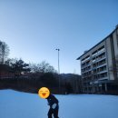 두꺼비로70번길(3-265) | 하이원리조트 힐펫룸 애견동반 가족 겨울여행지 추천