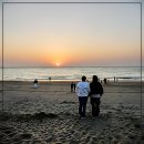 하니스파펜션 | 찐 힐링템 찾았다! 요즘 핫하다는 말리스파펜션 정복 후기 대방출!