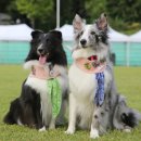 원신근린공원 (1) 이미지