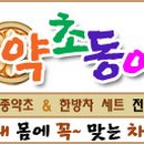 솔잎아래 이미지