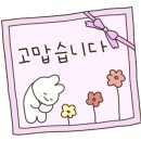 청공썬팅 이미지