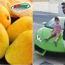 슈퍼카서비스 이미지