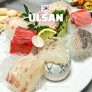 금하횟집 이미지