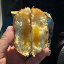 센트럴게임장 | [태국-파타야]태국여행 마트 쇼핑리스트, 파타야 빅씨마트 쇼핑리스트