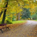 정감이간다 이미지