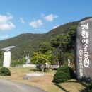 개화정육점
