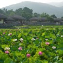 금오산_숲길(등산)1코스 | 구미 금오산, 걷고 느끼는 천년의 숲길
