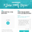 클라우드나인플라워 이미지