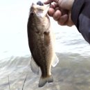 대안4리마을회관 이미지