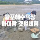 ㅣ 광주근교 아이랑 갯벌체험 ㅣ 율포해수욕장 조개캐기 쏙잡기 준비물 물때 주차장 캠핑 방문후기