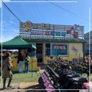 제주 트윈즈 이미지