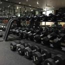 백본 휘트니스 이미지