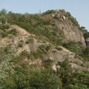 안산초등학교 버스정류장 이미지